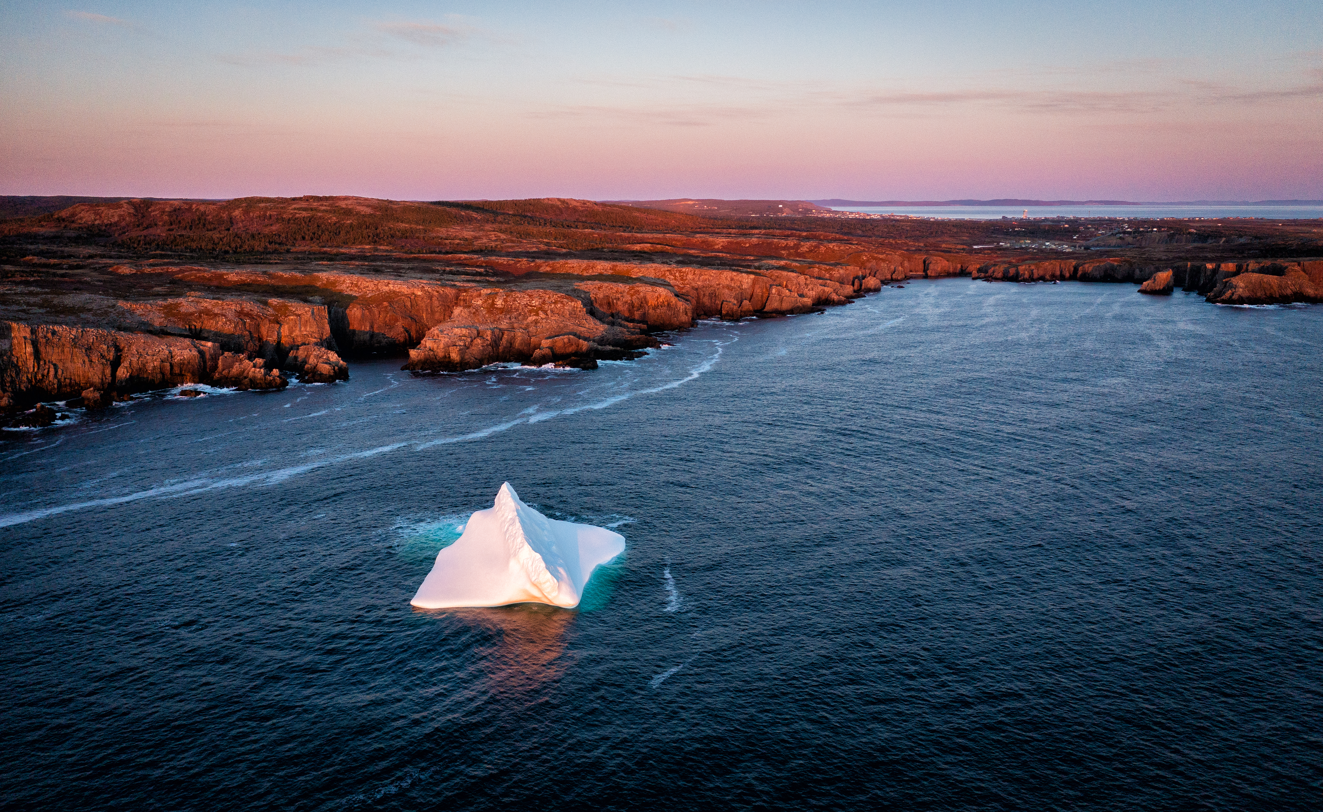 Iceberg Alley - Newfoundland
